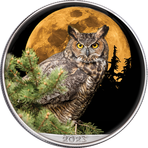 2023 Colorized Nocturnal Owl American Silver Eagle Main Image