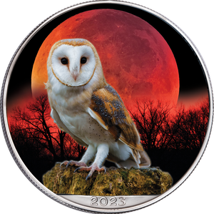 2023 Colorized Nocturnal Barn Owl American Silver Eagle Main Image