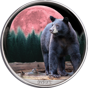 2023 Colorized Nocturnal Black Bear American Silver Eagle Main Image