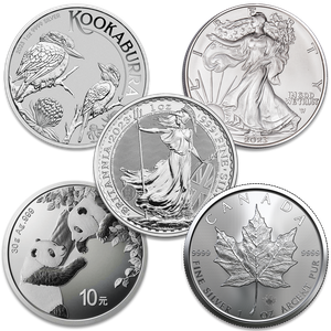 Big Bold Silver Coins of 2023 Main Image