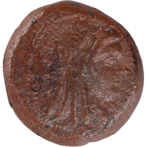 205-180 B.C. Ptolemy V Extra Small Bronze Isis Svoronos Main Image
