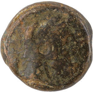 180-145 B.C. Ptolemy VI Small Bronze Hercules Sole Reign Svoronos Main Image