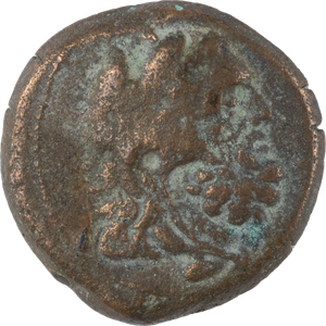 180-145 B.C. Ptolemy VI Small Bronze Hercules Sole Reign Svoronos Main Image