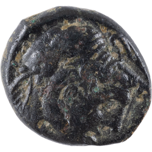 285-246 B.C. Ptolemy II Extra Small Bronze Zeus Svoronos Main Image