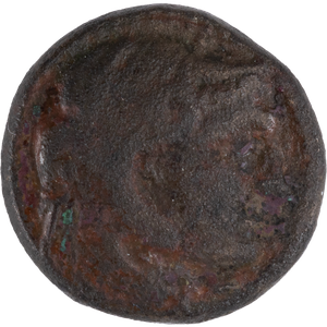 285-246 B.C. Ptolemy II Extra Small Bronze Alexander Svoronos Main Image