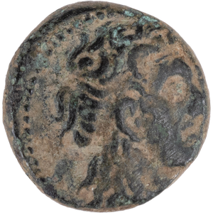 285-246 B.C. Ptolemy II Extra Small Bronze Alexander Svoronos Main Image