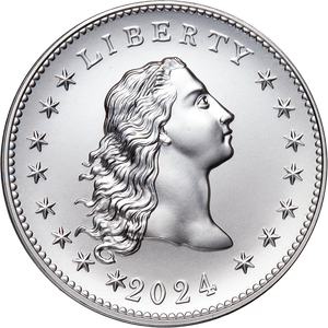 2024 Flowing Hair Silver Medal Main Image