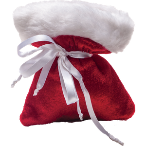 Christmas Velvet Faux Fur Bag Main Image