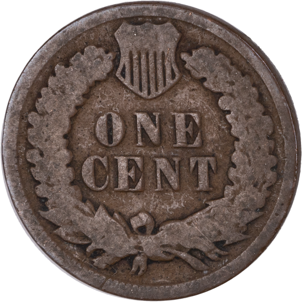 1893 Indian Head Penny for Sale | Littleton Coin