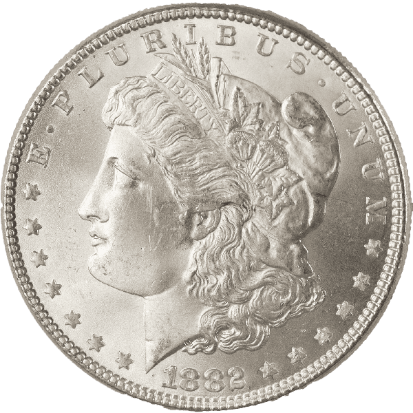 モンマルトル 1882 Morgan Silver Dollar VF#2 | Littleton Coin Company