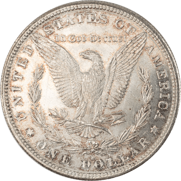 1889年 MORGAN SILVER DOLLAR アメリカPCGS MS63 1889-S Morgan Silver Dollar MS63 | Littleton Coin Company