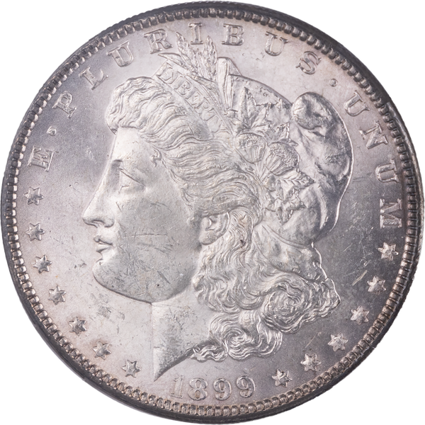 1899 Morgan Silver Dollar | Littleton Coin Company