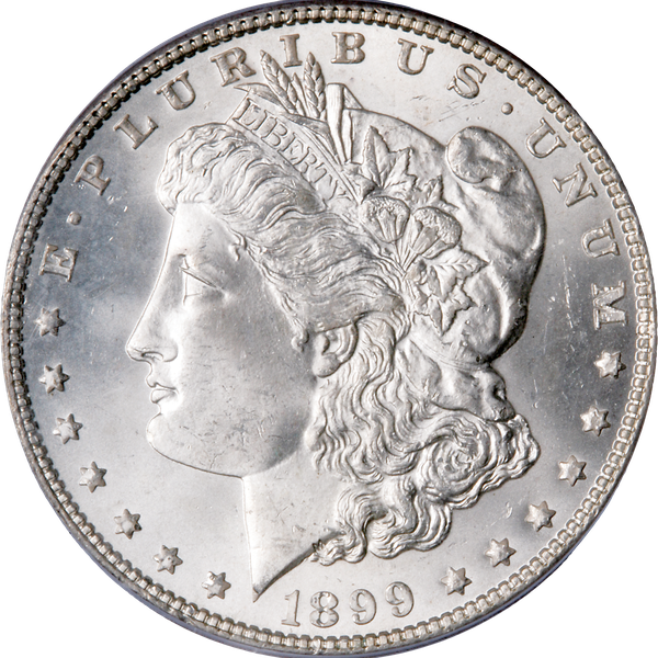 1899 Morgan Silver Dollar
