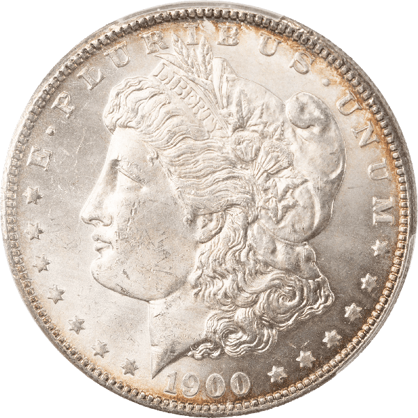 1900-S Morgan Silver Dollar | Littleton Coin Company