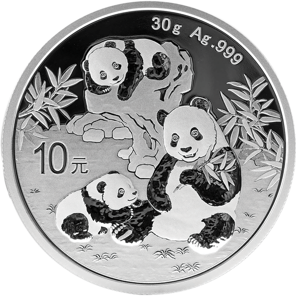 2025 China Silver 10 Yuan Panda