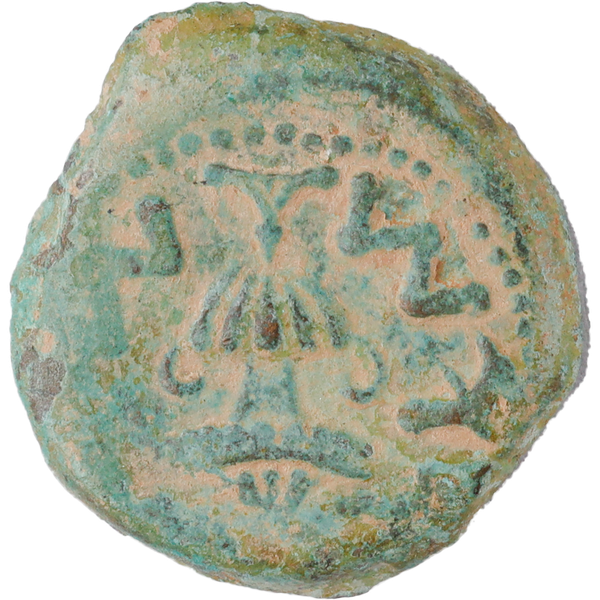 A.D. 66-70 1st Jewish Revolt Year 3 Bronze