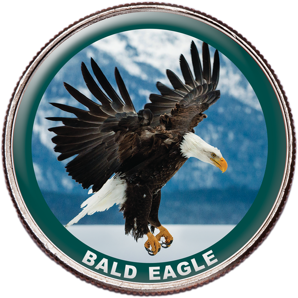 Bald Eagle Colorized Kennedy Half Dollar