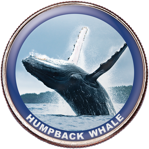 Humpback Whale Colorized Kennedy Half Dollar
