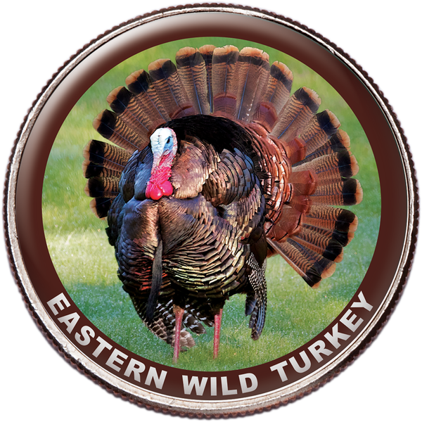 Eastern Wild Turkey Colorized Kennedy Half Dollar | Littleton Coin