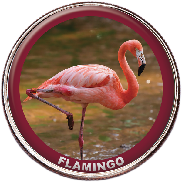 Flamingo Colorized Kennedy Half Dollar
