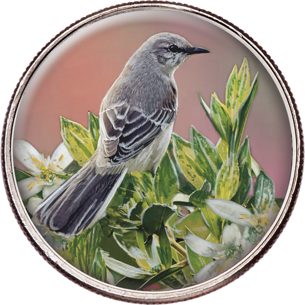 50 State Birds & Flowers - Florida