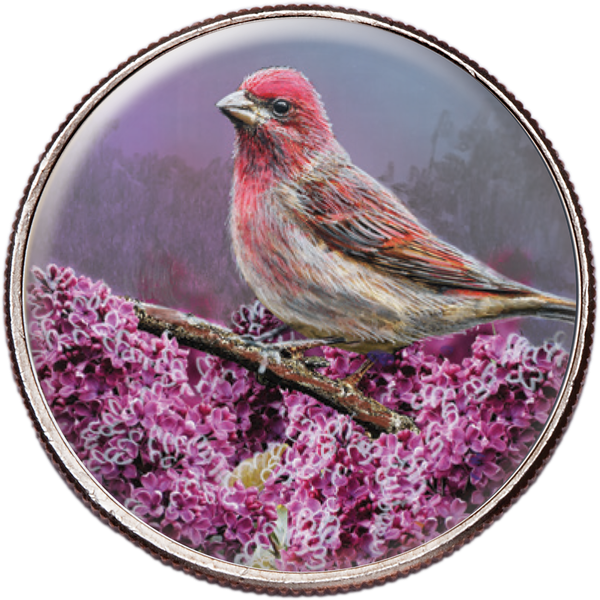50 State Birds & Flowers - New Hampshire