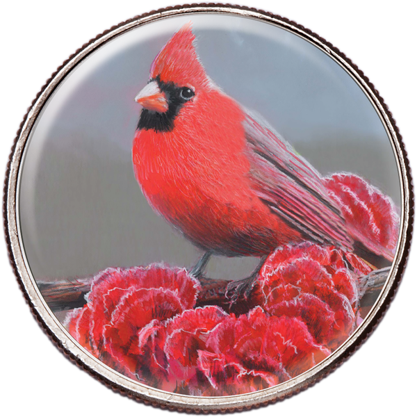 50 State Birds & Flowers - Ohio