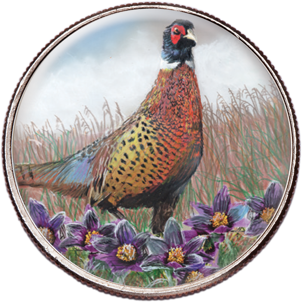 50 State Birds & Flowers - South Dakota