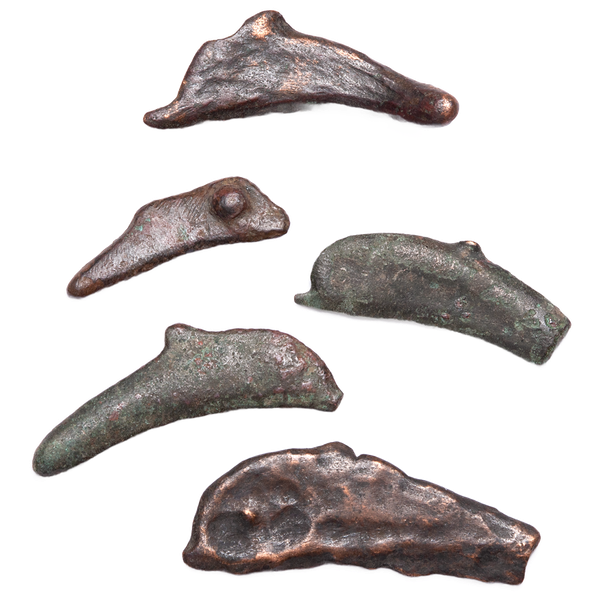 5th Century B.C. Bronze Dolphin Coin