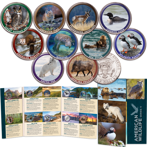 American Wildlife Series V Custom Folder and Coins