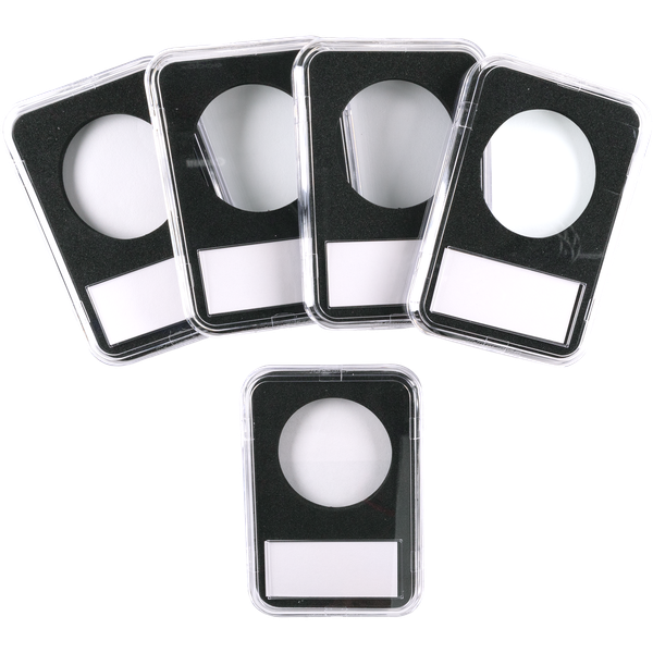 Lighthouse Slabs (5 pack), Large Dollar