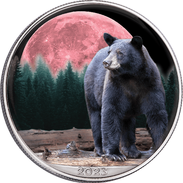 2023 Colorized Nocturnal Black Bear American Silver Eagle