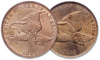 The California Coin Cache contained a large group of 1857 & 1858 Flying Eagle cents
