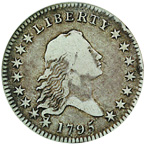 Flowing Hair Half Dollar