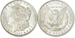 1895 Morgan Silver Dollar