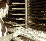 [photo: Drying large-size bills at the U.S. Treasury]