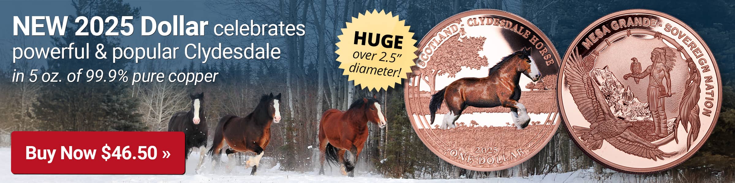 NEW 2025 Dollar celebrates powerful and popular Clydesdale - HUGE over 2.5 inch diameter! Buy Now
