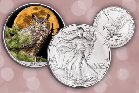 American Eagle Silver Dollars - Shop Now